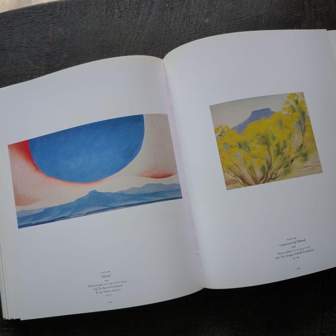 ia okeeff museum ジョージア・オキーフ画集　英語版