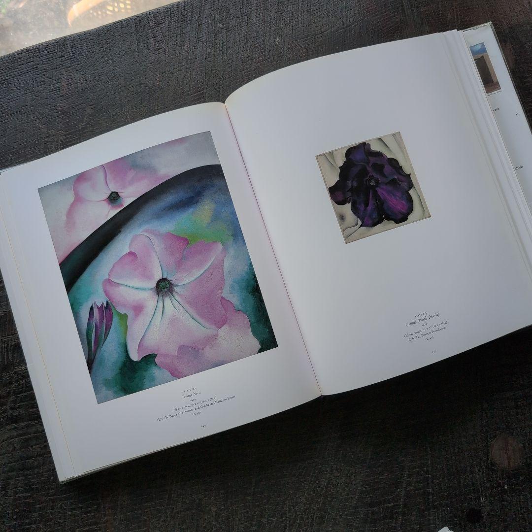 ia okeeff museum ジョージア・オキーフ画集　英語版