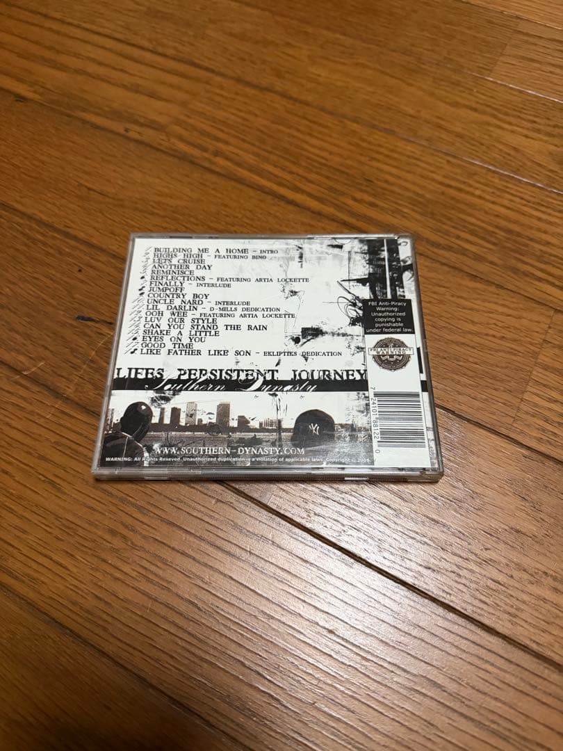洋楽 Southern Dynasty / Lifes Persistent