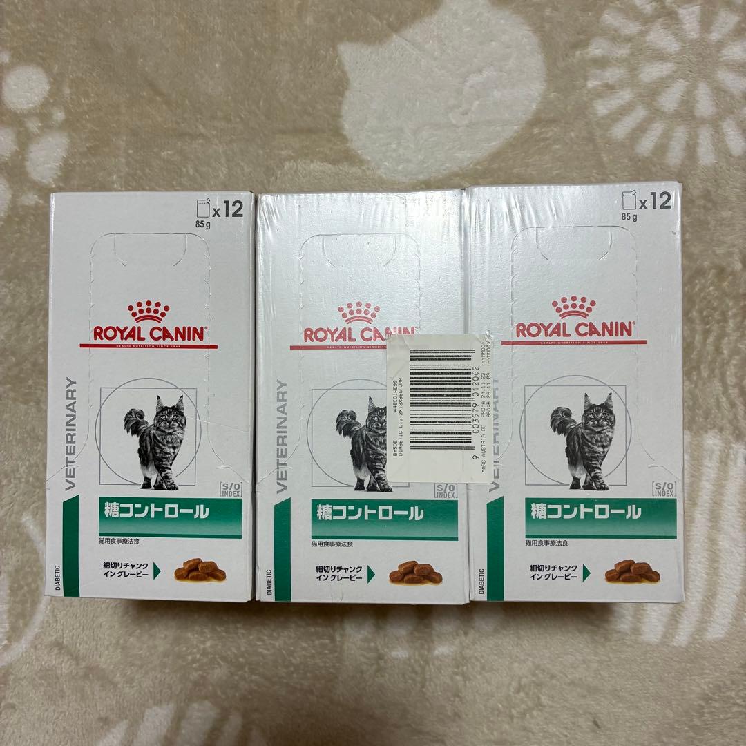  CANIN 糖コントロール ウェット 85g×12個 3箱