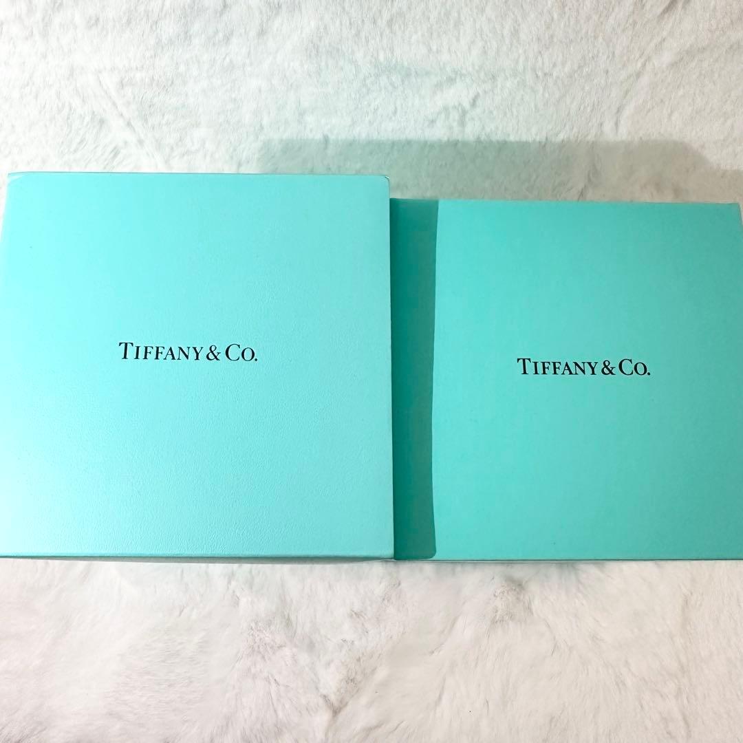 【未使用・非売品】ティファニー エンゲージリング スノードーム