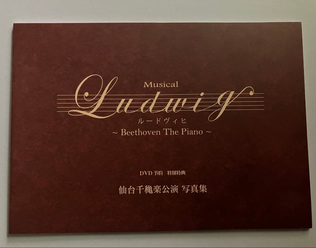 ルードヴィヒ 未開封DVD ／ 写真集　／ 中村倫也　木下晴香　福士誠治