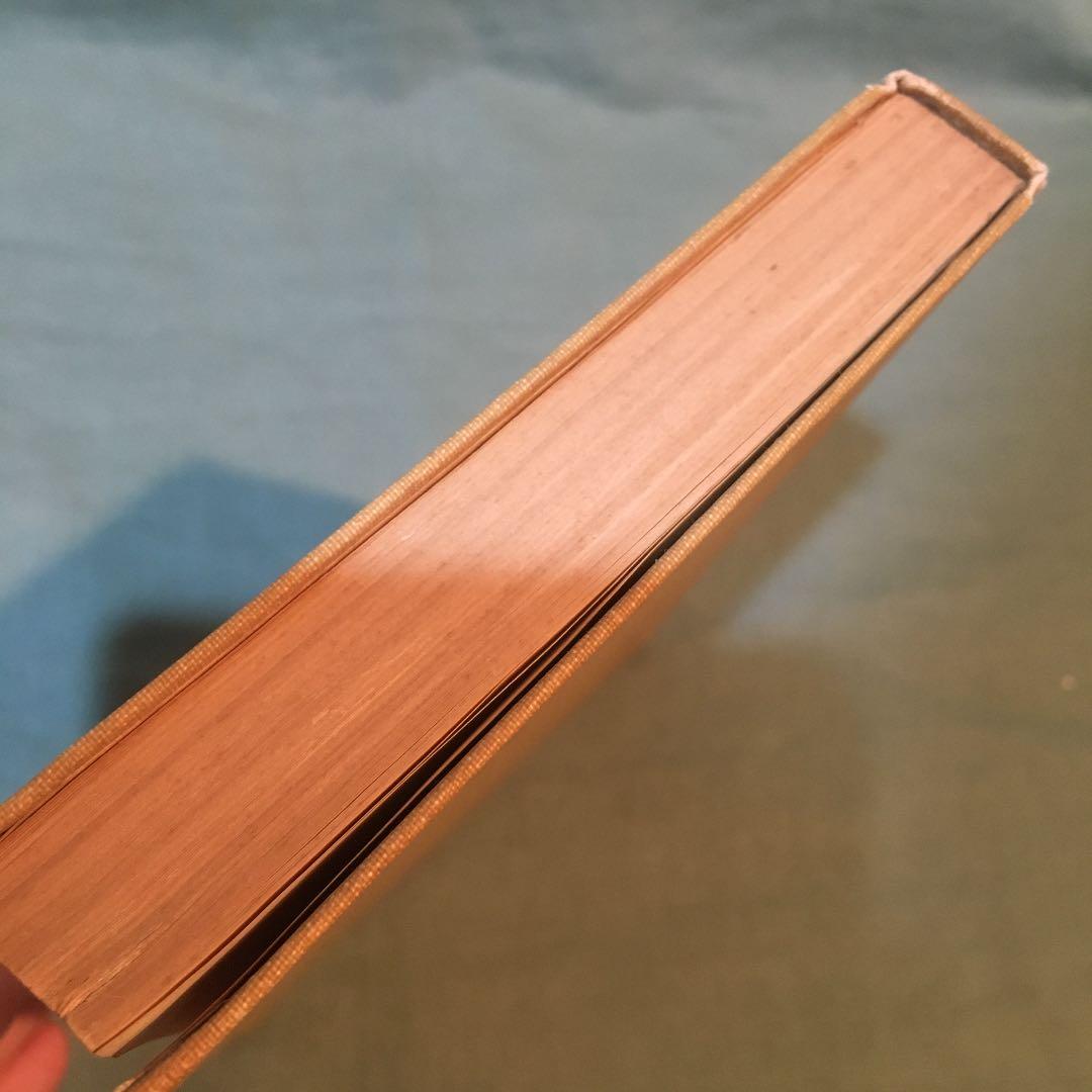 30-漢文入門　写真通りの日焼けとシミが見られます。