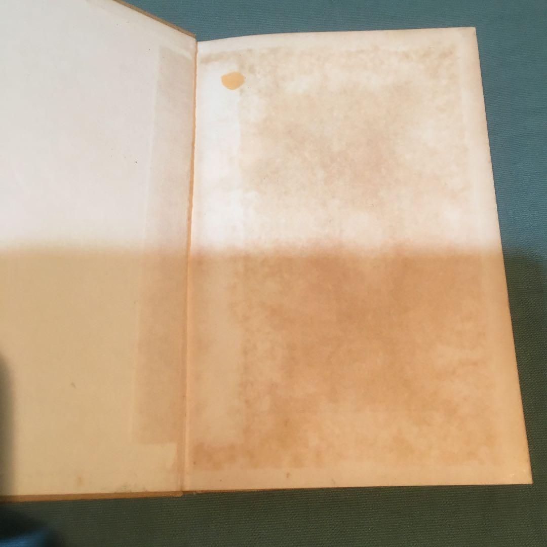 30-漢文入門　写真通りの日焼けとシミが見られます。