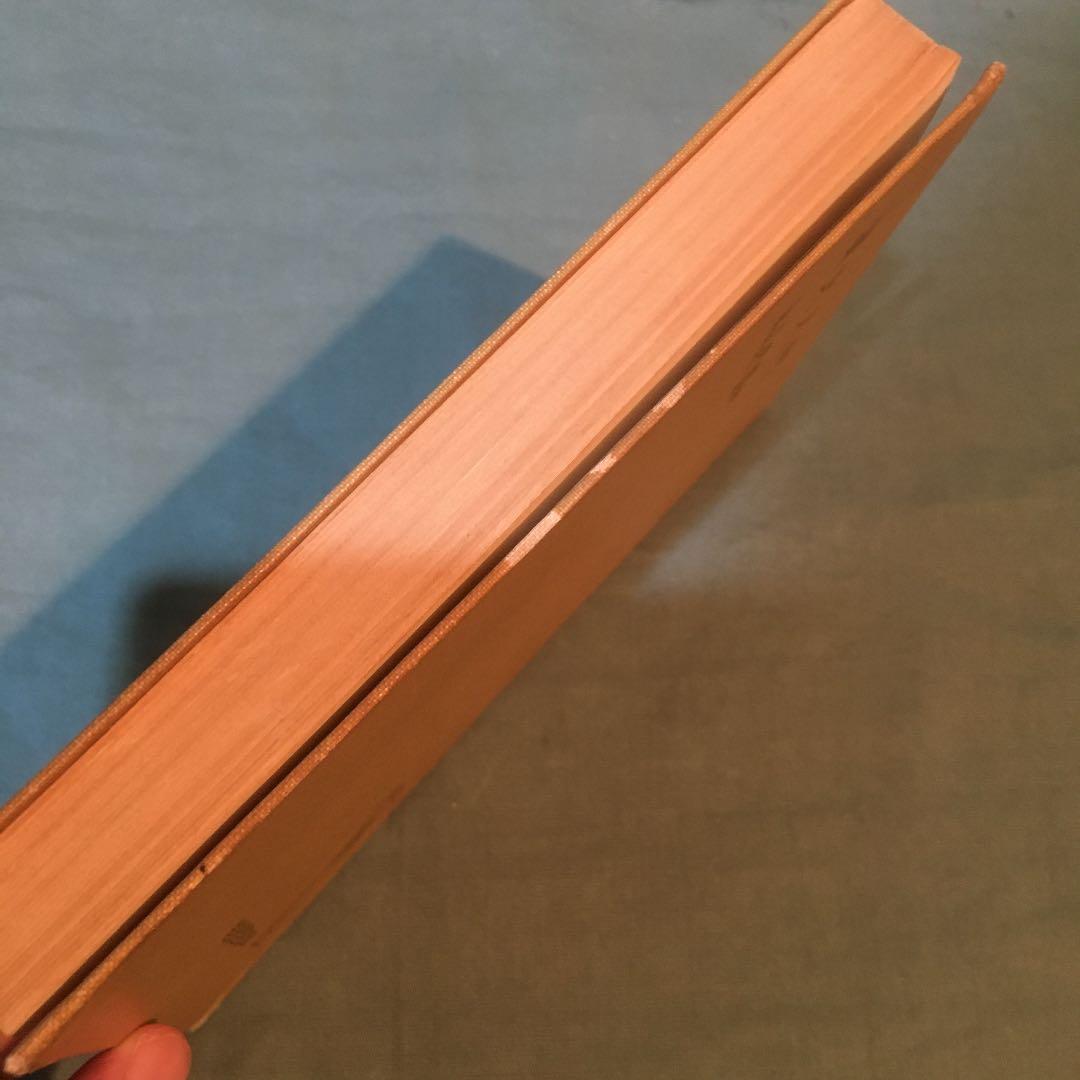 30-漢文入門　写真通りの日焼けとシミが見られます。