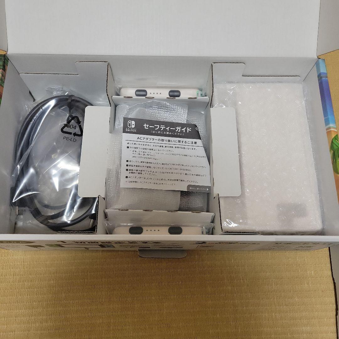 Nintendo Switch 本体 あつまれどうぶつの森