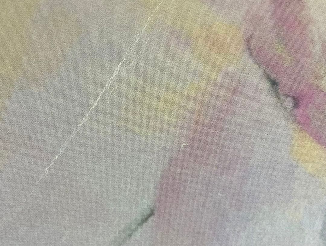 邦楽 Orangestar UNDEVELOPED FLOWER-PLANET