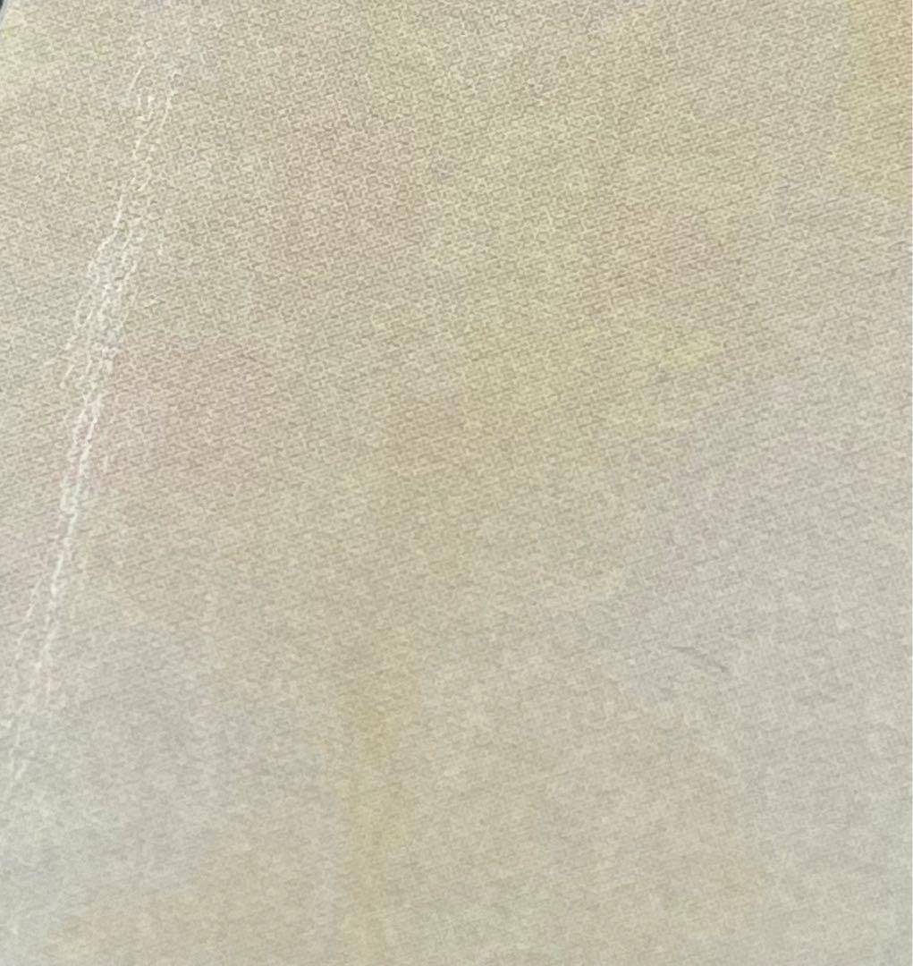 邦楽 Orangestar UNDEVELOPED FLOWER-PLANET