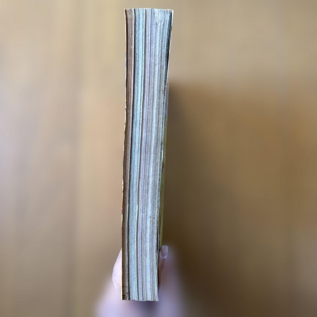 週刊少年ジャンプ 1998年30号 ONE PIECE巻頭カラー