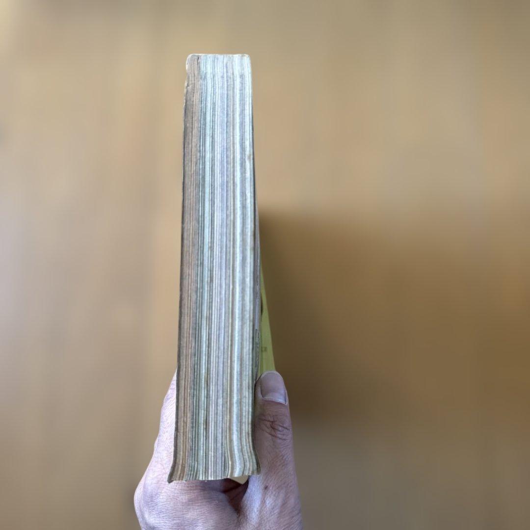 週刊少年ジャンプ 1998年30号 ONE PIECE巻頭カラー