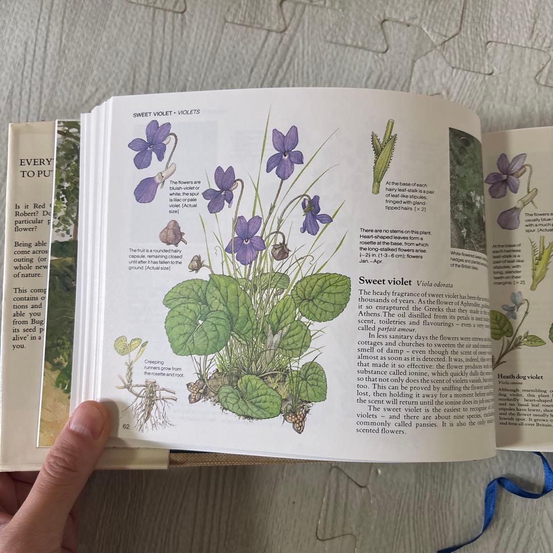 美月　3冊セット