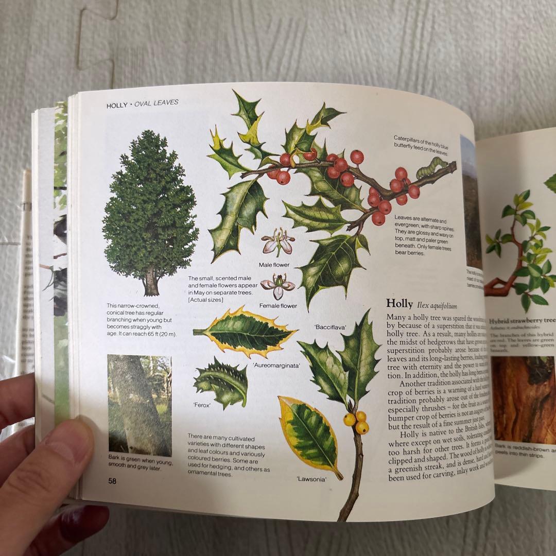 美月　3冊セット