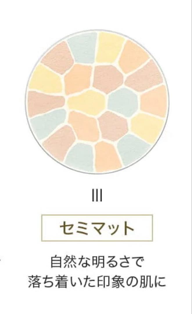 エレガンス ラプードル 35周年ケース セット