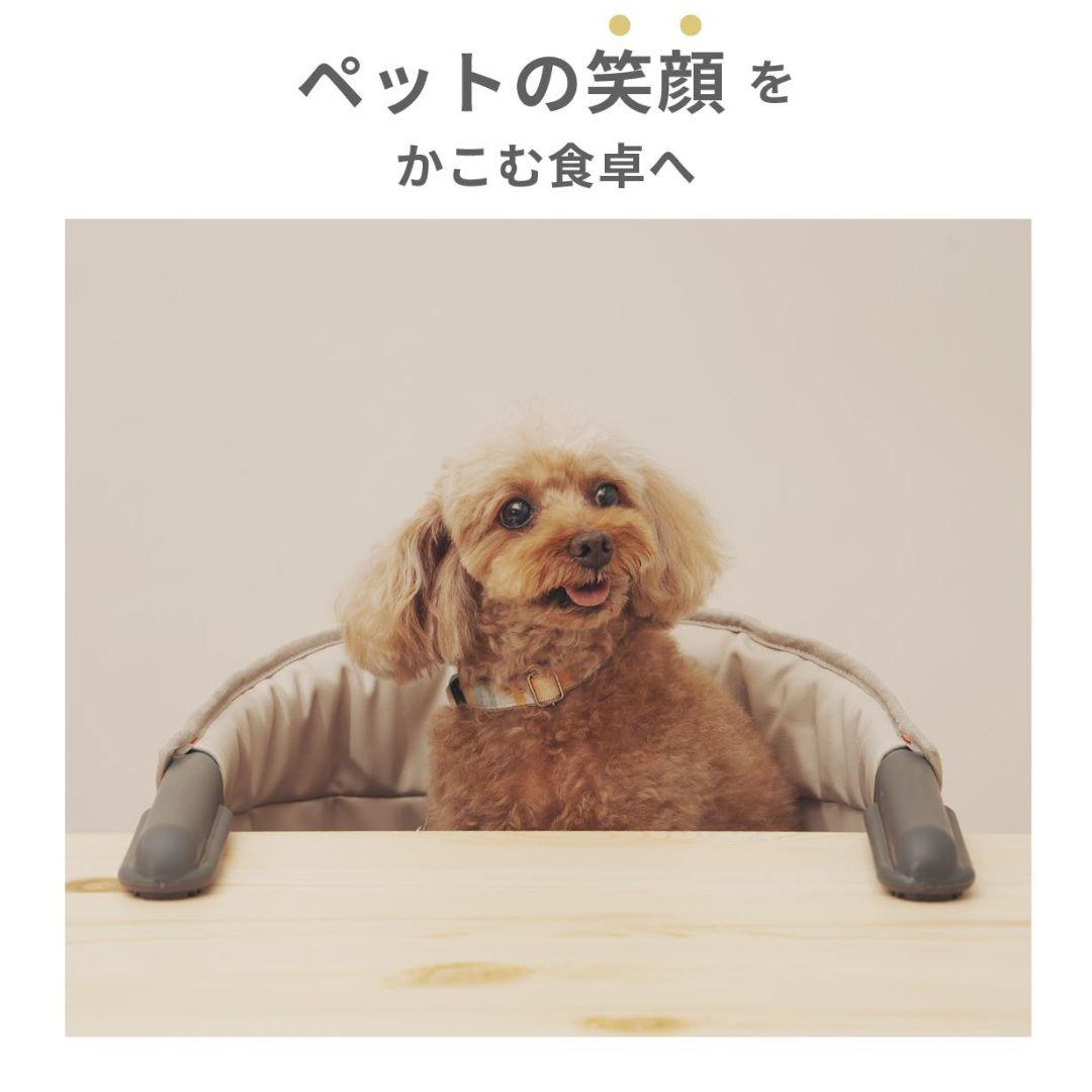 ペット用テーブルチェア ミント 食事サポート