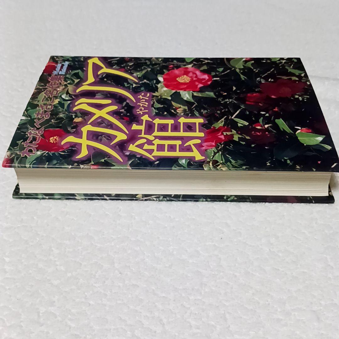 カメリア館 わたなべまさこ わたなべまさこ名作集 その2