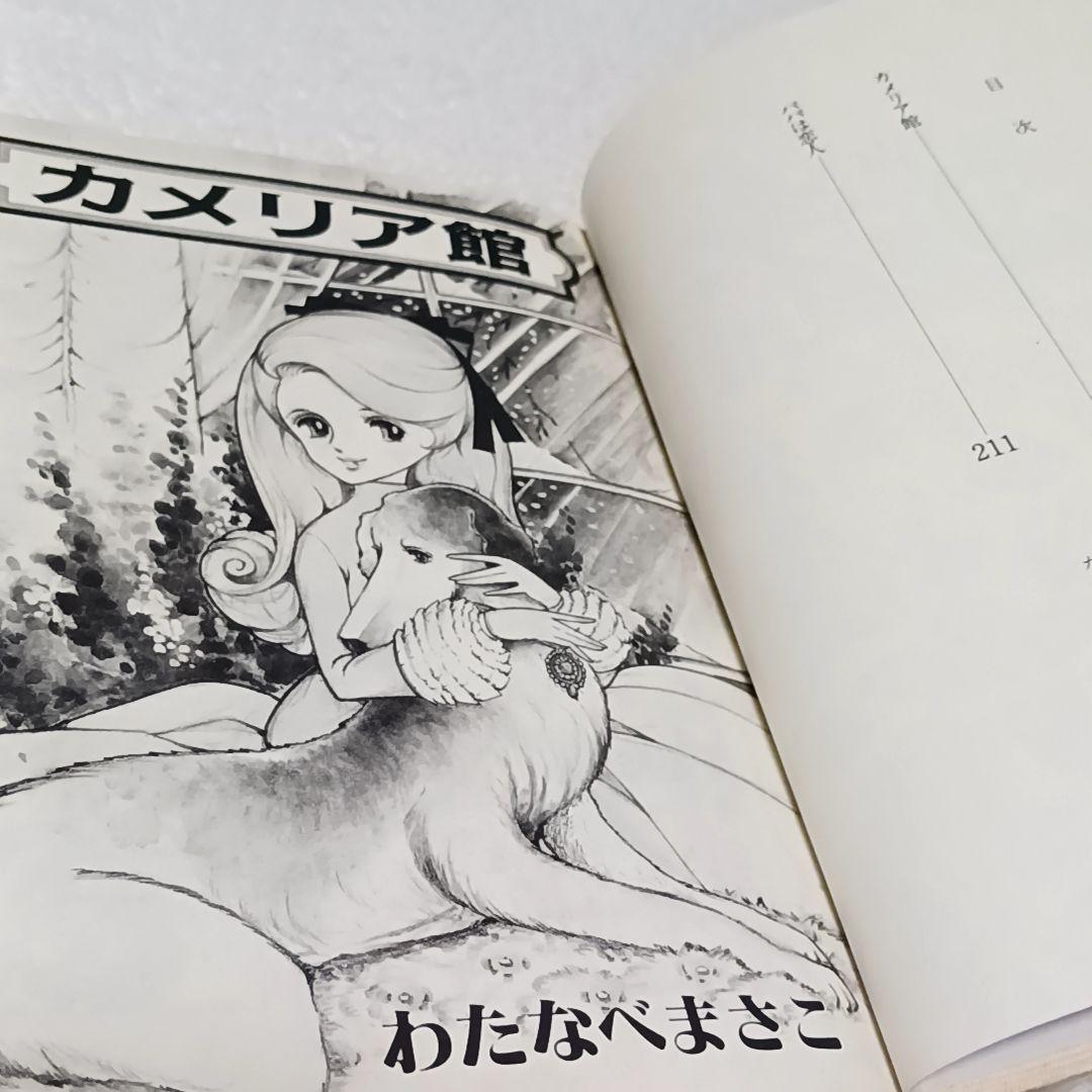 カメリア館 わたなべまさこ わたなべまさこ名作集 その2