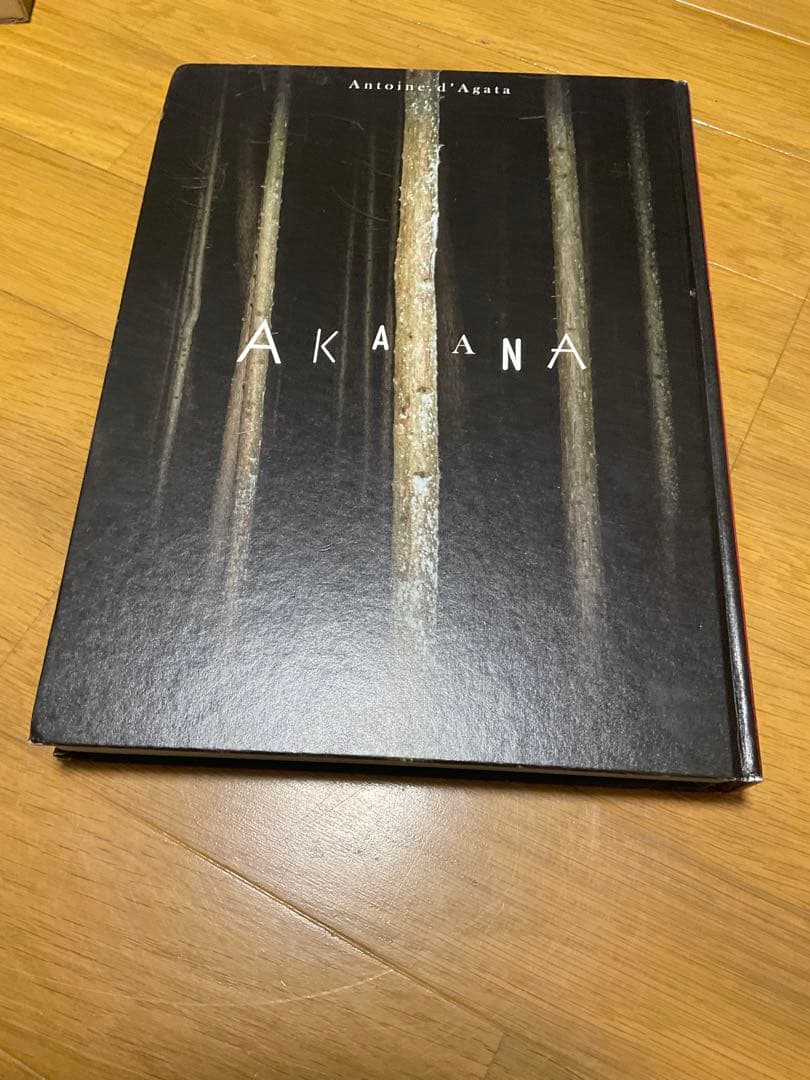 アントワーヌ・ダガタ　写真集　「赤穴」