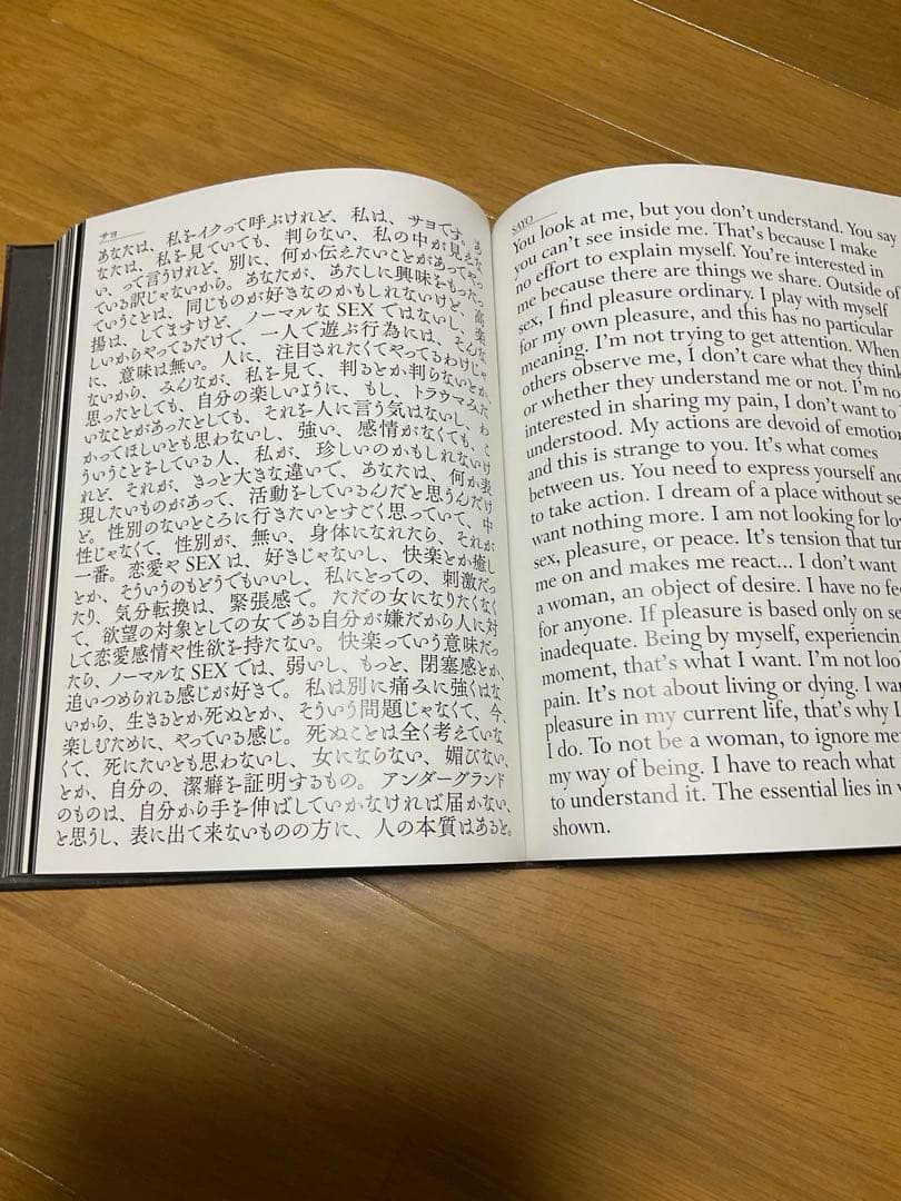 アントワーヌ・ダガタ　写真集　「赤穴」