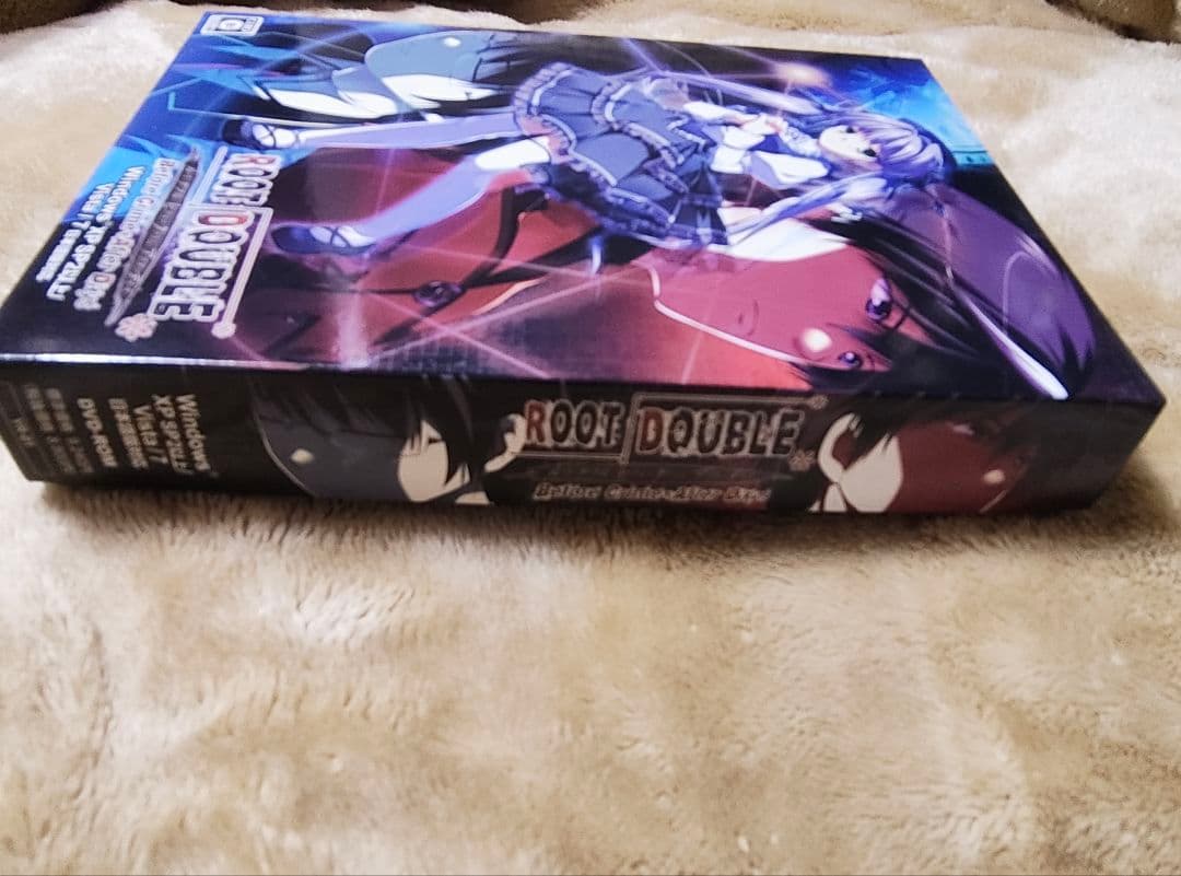 ルートダブル Before Crime After Days Windows版