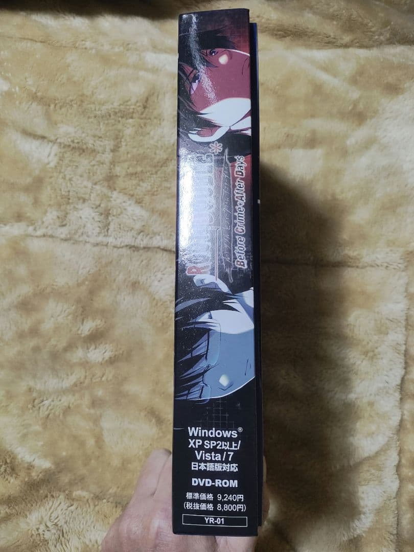 ルートダブル Before Crime After Days Windows版