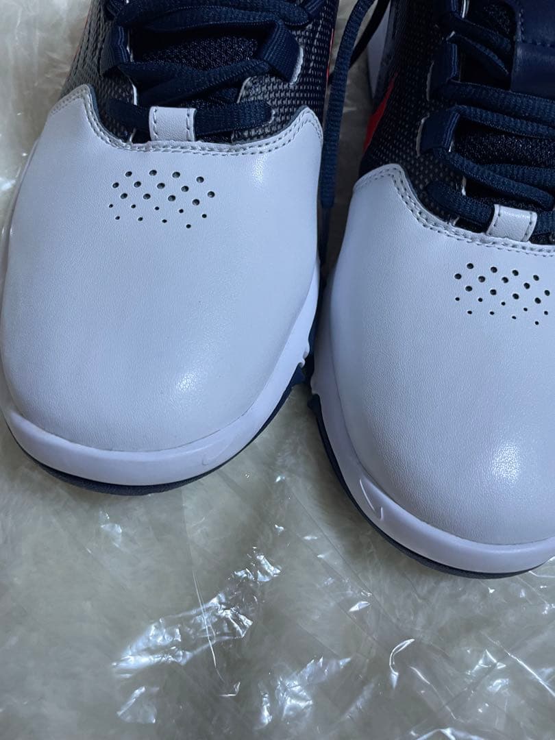 激レア！ナイキ エクスプローラー コントロール 25.5 ゴルフシューズ