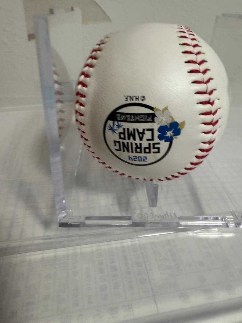 メ*6様 直筆サイン入り2024春季キャンプボール　伊藤大海　貴重！最多勝！最高