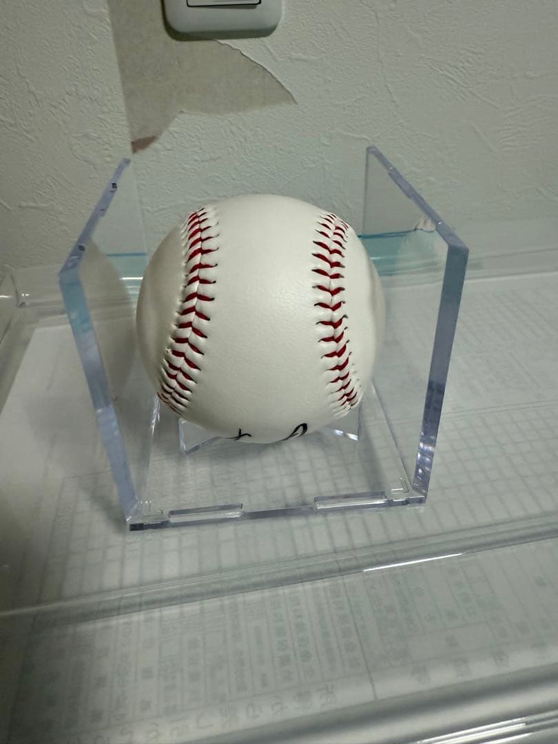 メ*6様 直筆サイン入り2024春季キャンプボール　伊藤大海　貴重！最多勝！最高