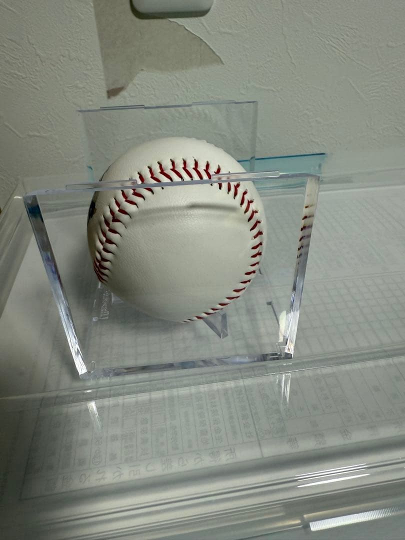 メ*6様 直筆サイン入り2024春季キャンプボール　伊藤大海　貴重！最多勝！最高