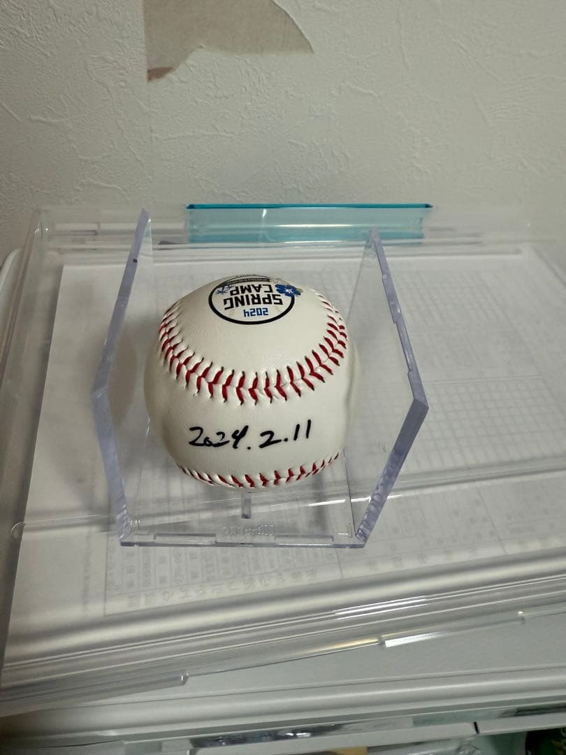 メ*6様 直筆サイン入り2024春季キャンプボール　伊藤大海　貴重！最多勝！最高