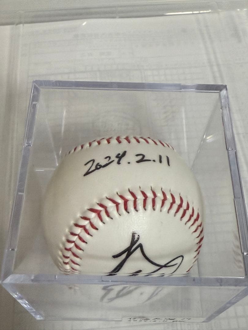 メ*6様 直筆サイン入り2024春季キャンプボール　伊藤大海　貴重！最多勝！最高