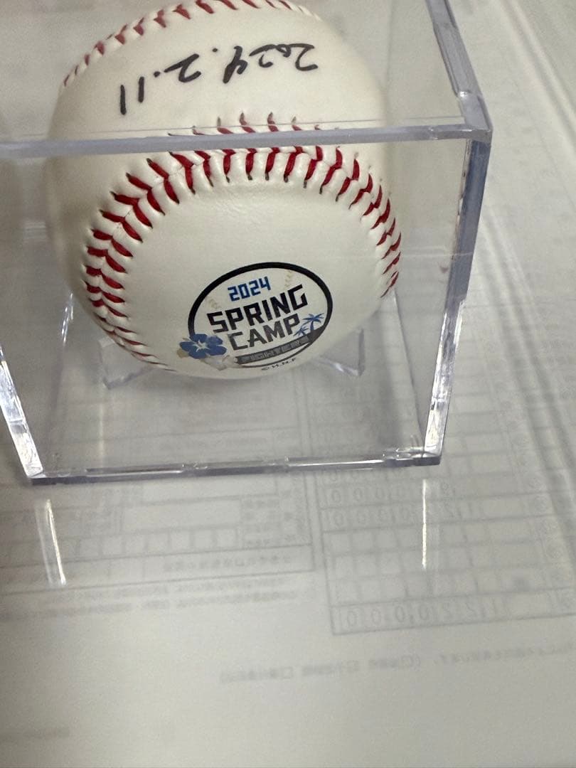 メ*6様 直筆サイン入り2024春季キャンプボール　伊藤大海　貴重！最多勝！最高
