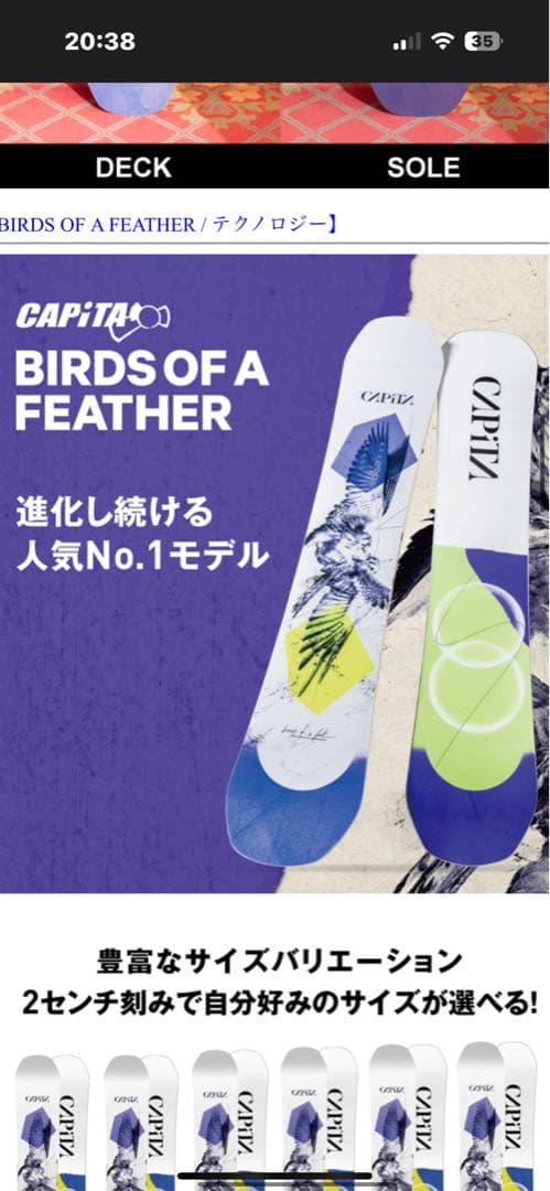 大特価！1月27日まで CAPiTA birds of a feather