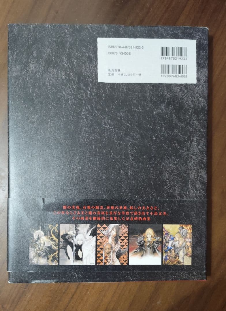 小島文美 画集 Santa Lilio Sangre 緋いユリ