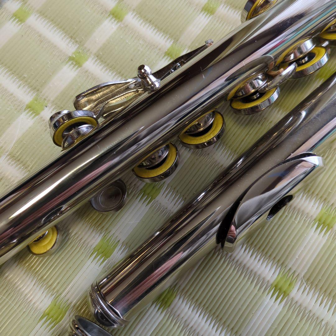 No Brand フルート 本体 ケース付き