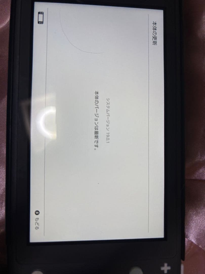 【美品】任天堂Switch ライト➕スプラトゥーン3(バラ売り可)