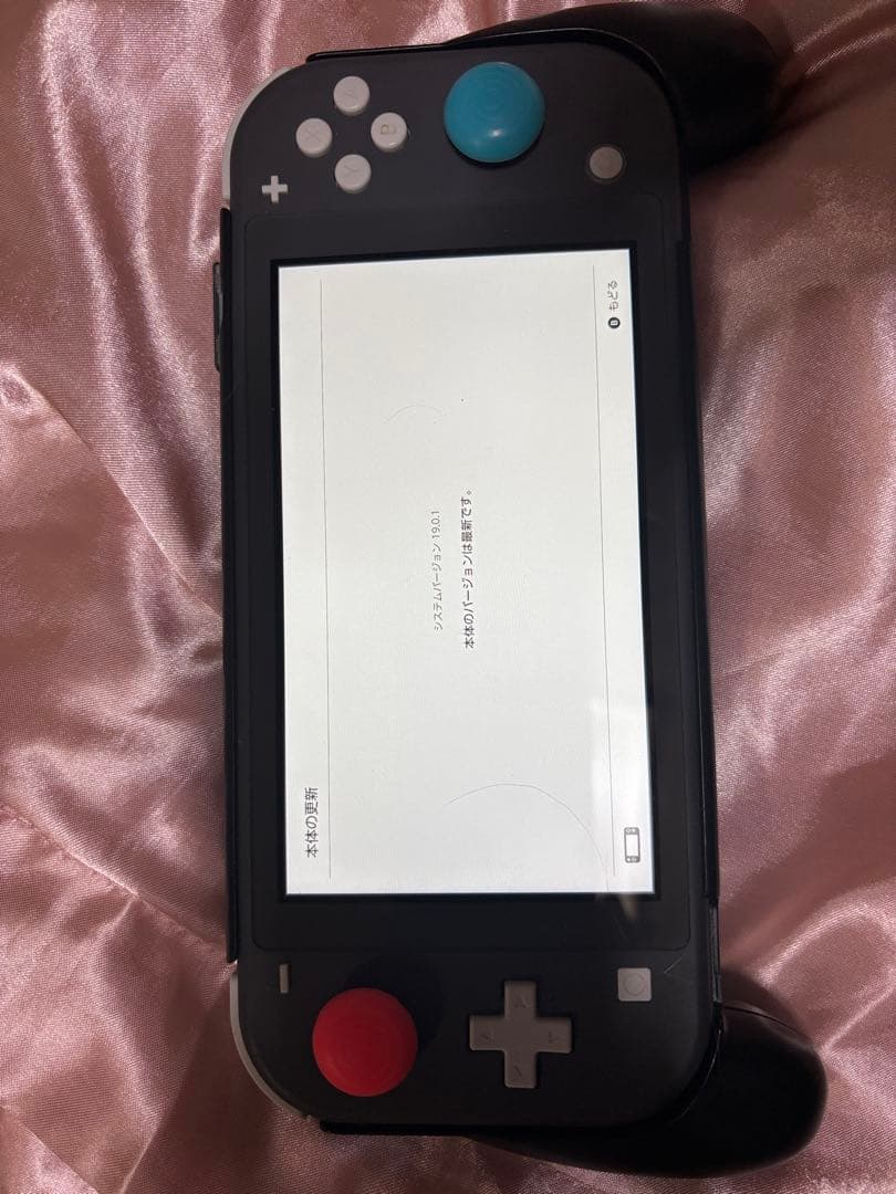 【美品】任天堂Switch ライト➕スプラトゥーン3(バラ売り可)