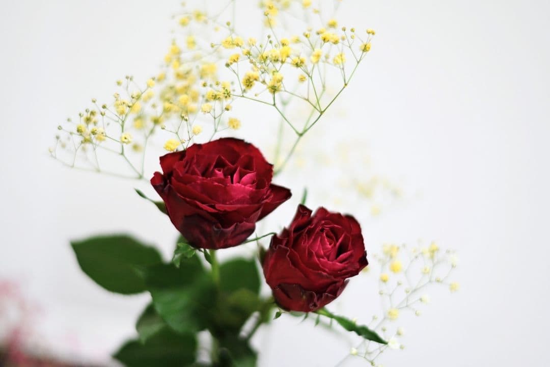 ★極上美品! NIKKOR Z 85mm f1.8s Zマウント・フルサイズ！