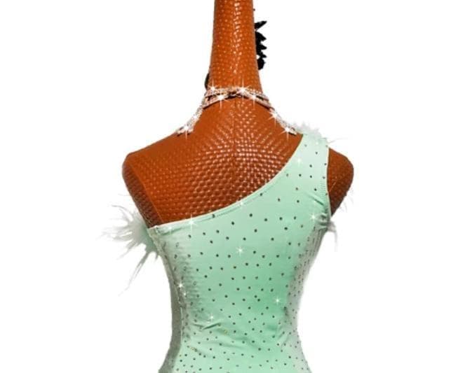 社交ダンスドレス 新色 ラテンワンピースドレス 豪華 羽スカート オーダーメイド