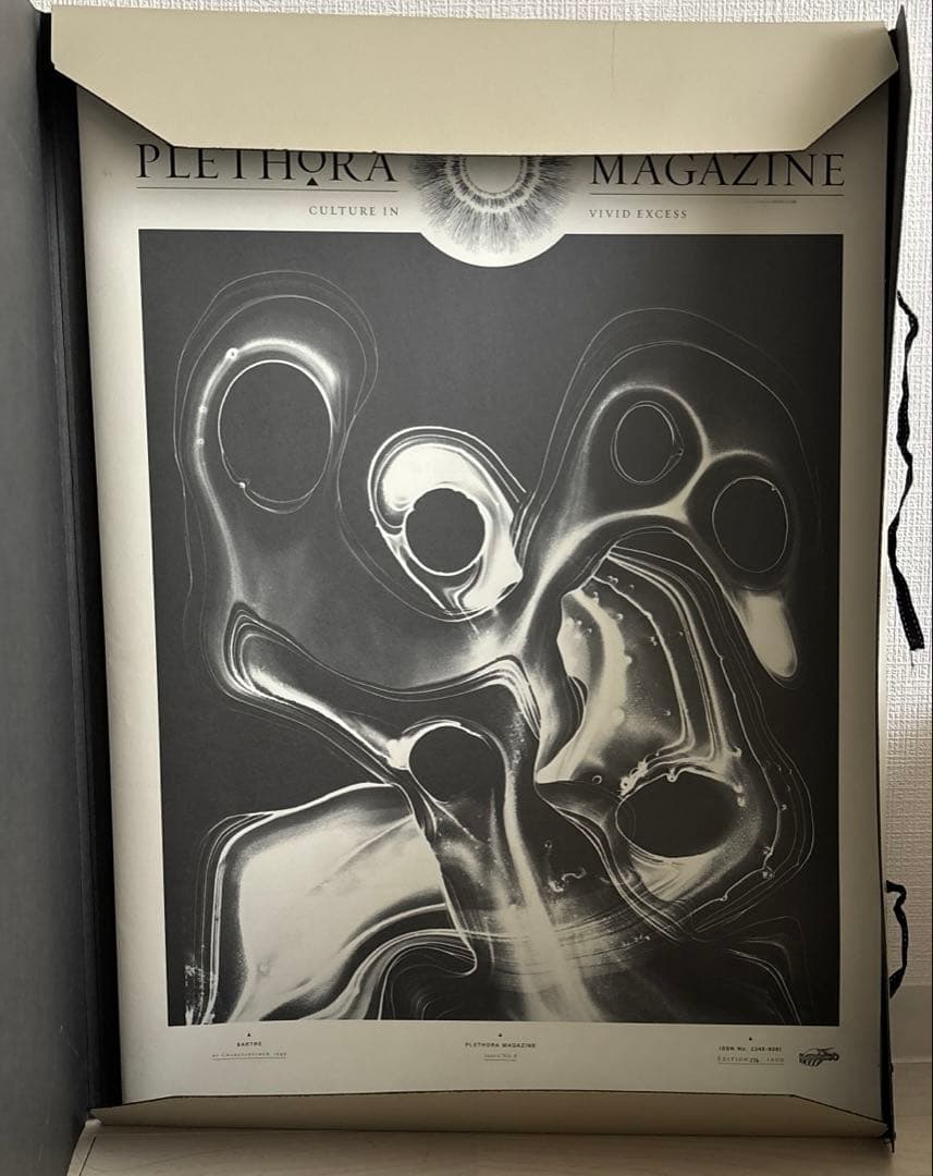 プレソラマガジンPLETHORA MAGAZINE No.8