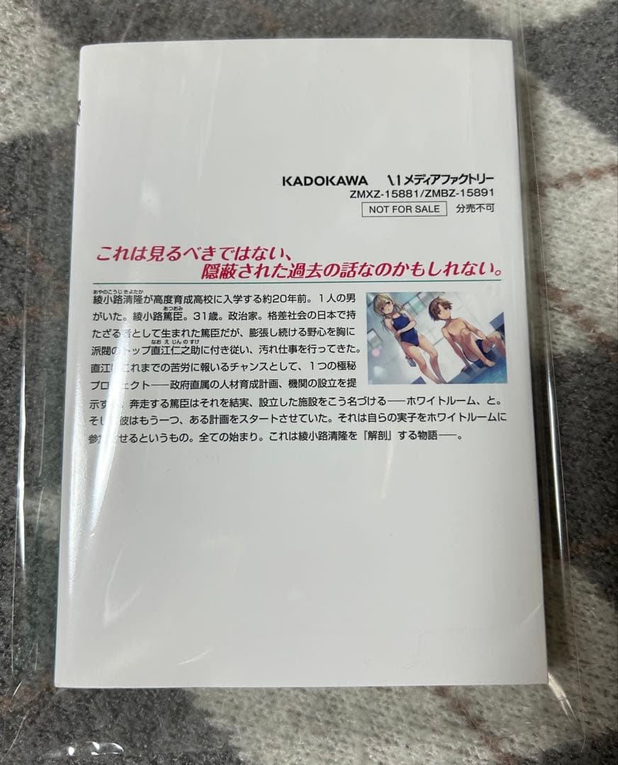 ようこそ実力至上主義の教室へ 0巻 よう実　綾小路清隆　坂柳有栖