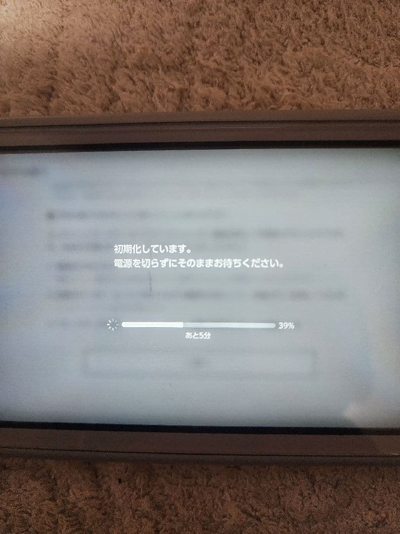Nintendo Switch Lite グレー 　ポケモン　半ジャンク品