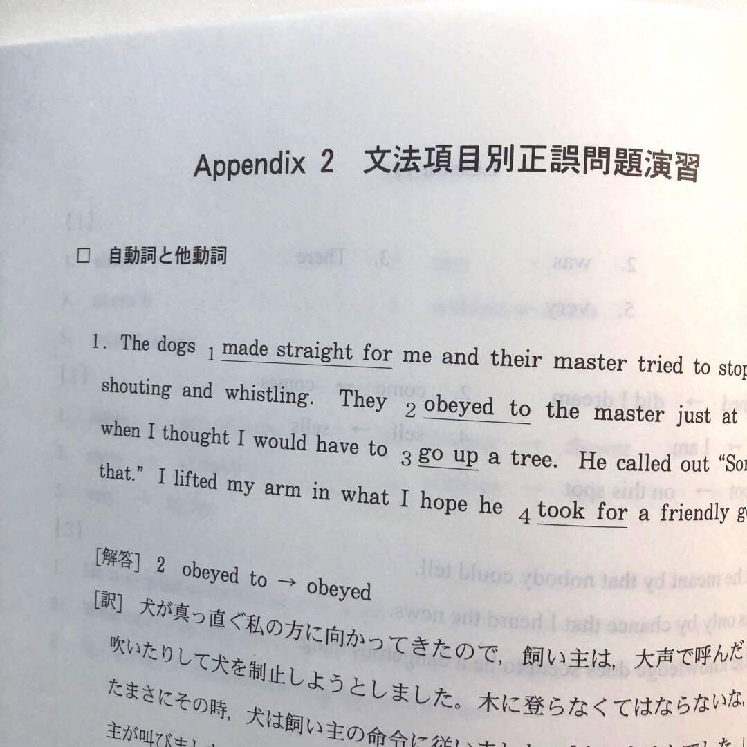 ENGLISH NAVI〈夏の頻出英文法演習〉　代ゼミ　夏期講習　仲本浩喜