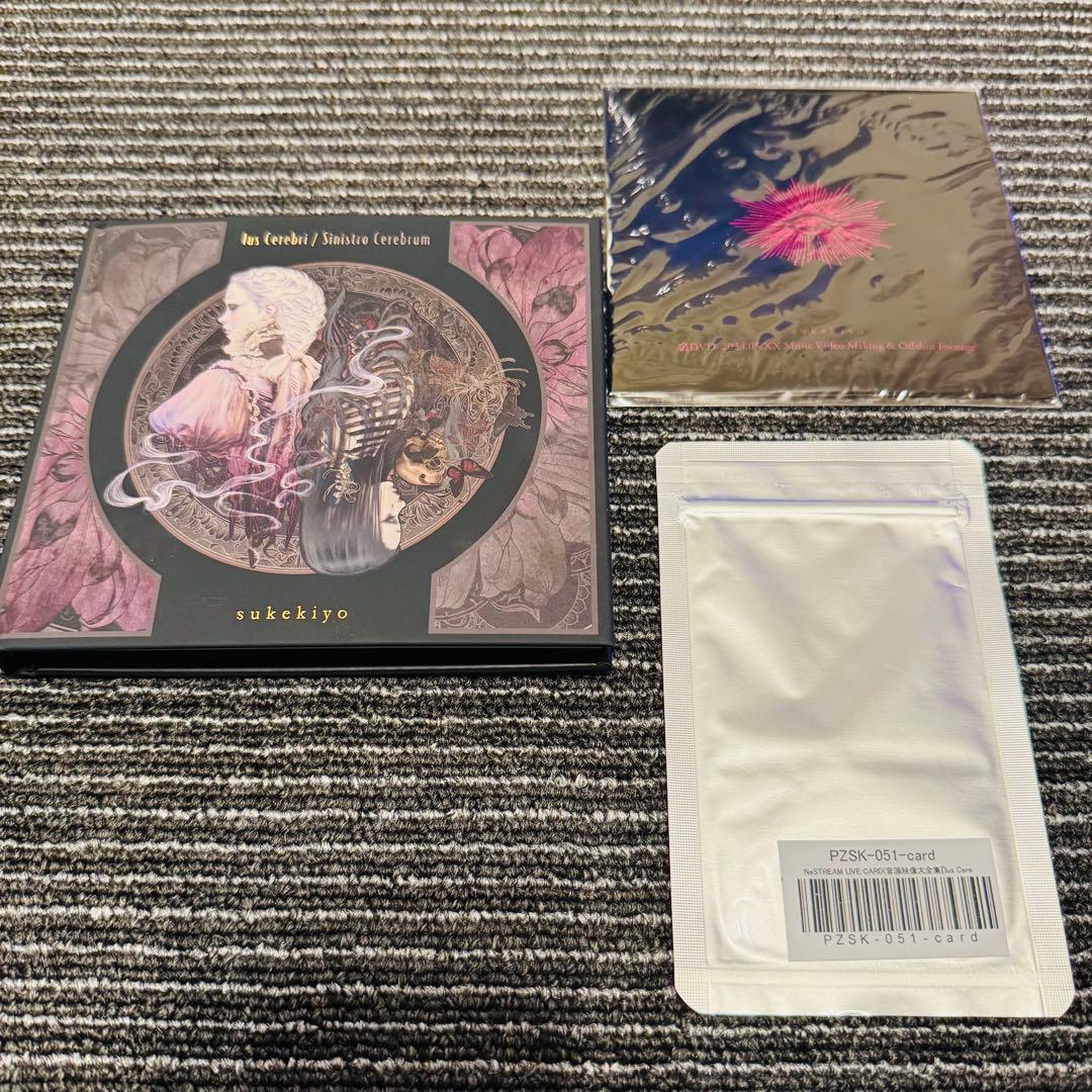 邦楽 sukekiyo Ins Cerebri / Sinistro Cerebrum