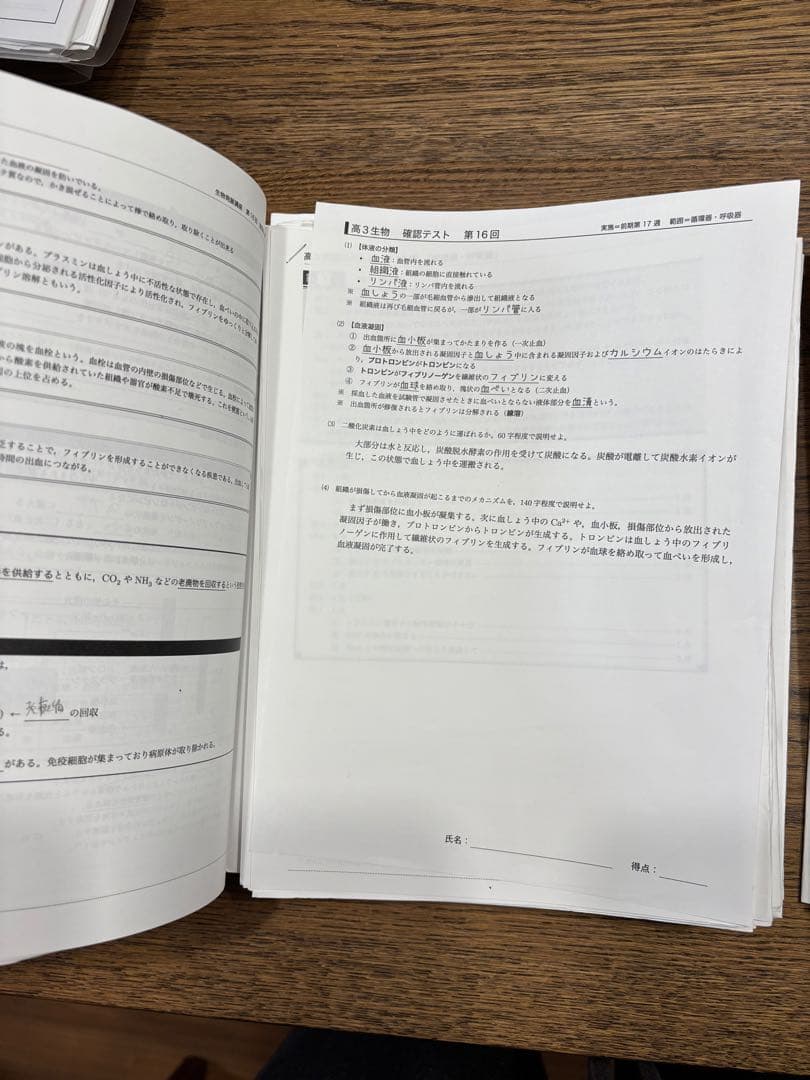 鉄緑会　高3生物　授業冊子　前期後期　一式