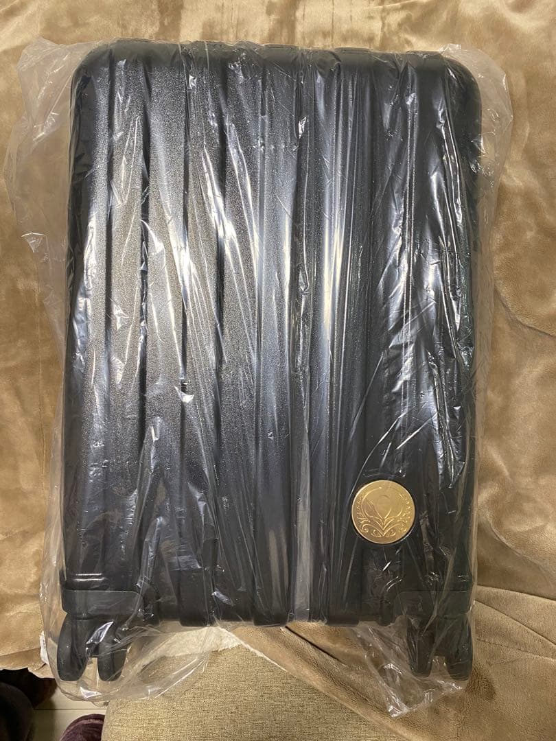 ディズニー　しまむら　ちはる　キャリーケース　エルサ