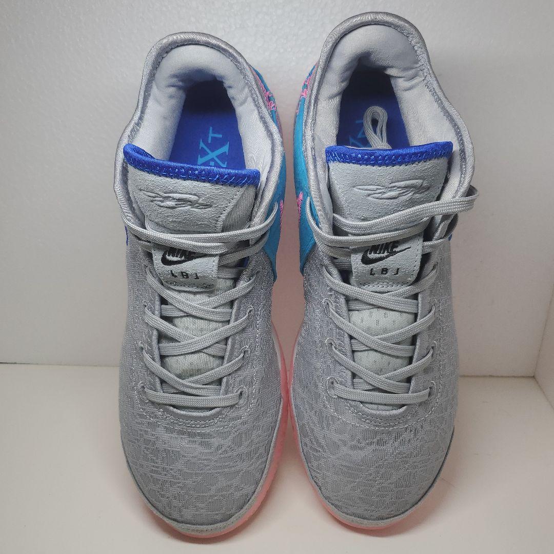 シューズ(男性用) NIKE ZOOM LEBRON NXXT GEN EP 29cm