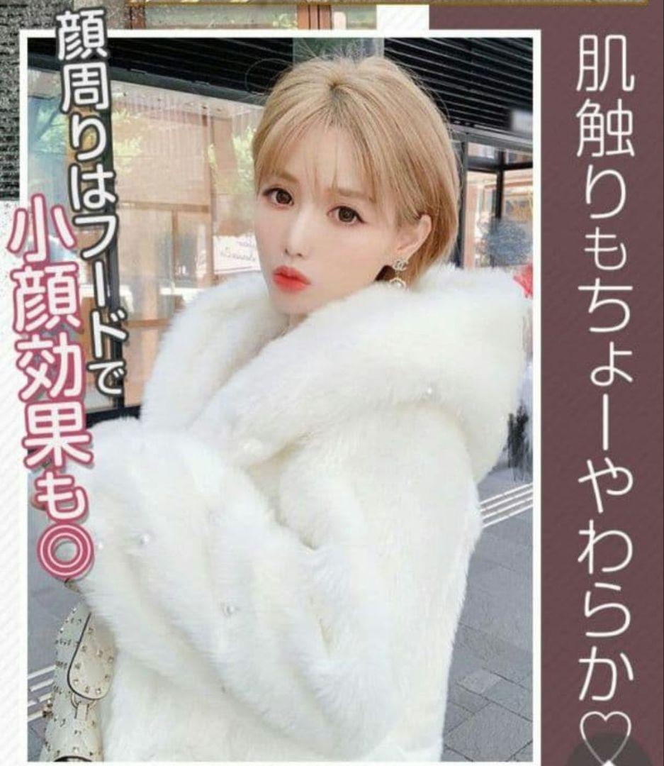 Rady・シェリミー・SOLNI・エミリアウィズ・ダーリッチ・リゼクシー