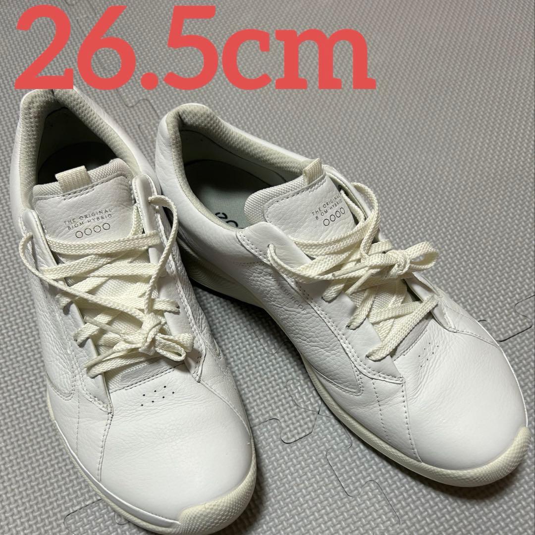 ECCO Sion ホワイト ゴルフシューズ