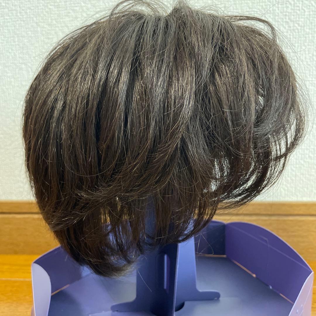 フォンテーヌ VALAN premium 高級ウィッグ VPD04 F4