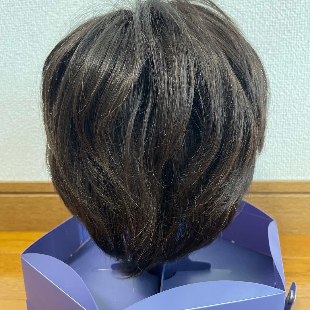 フォンテーヌ VALAN premium 高級ウィッグ VPD04 F4